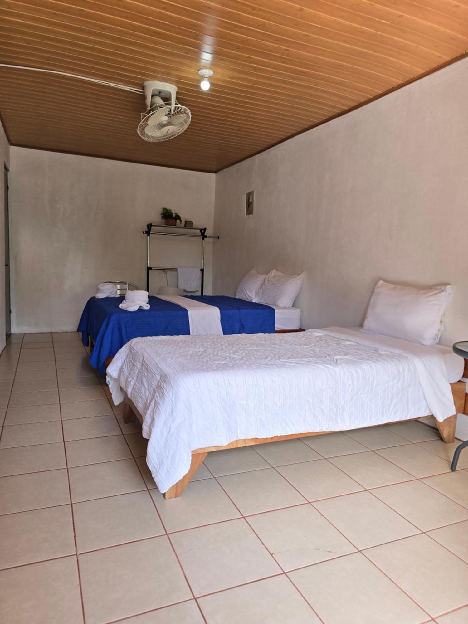 Tortuguero Hill Rooms Buitenkant foto