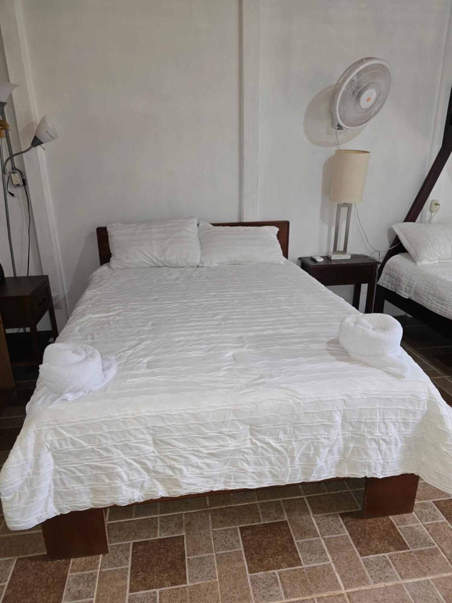 Tortuguero Hill Rooms Buitenkant foto