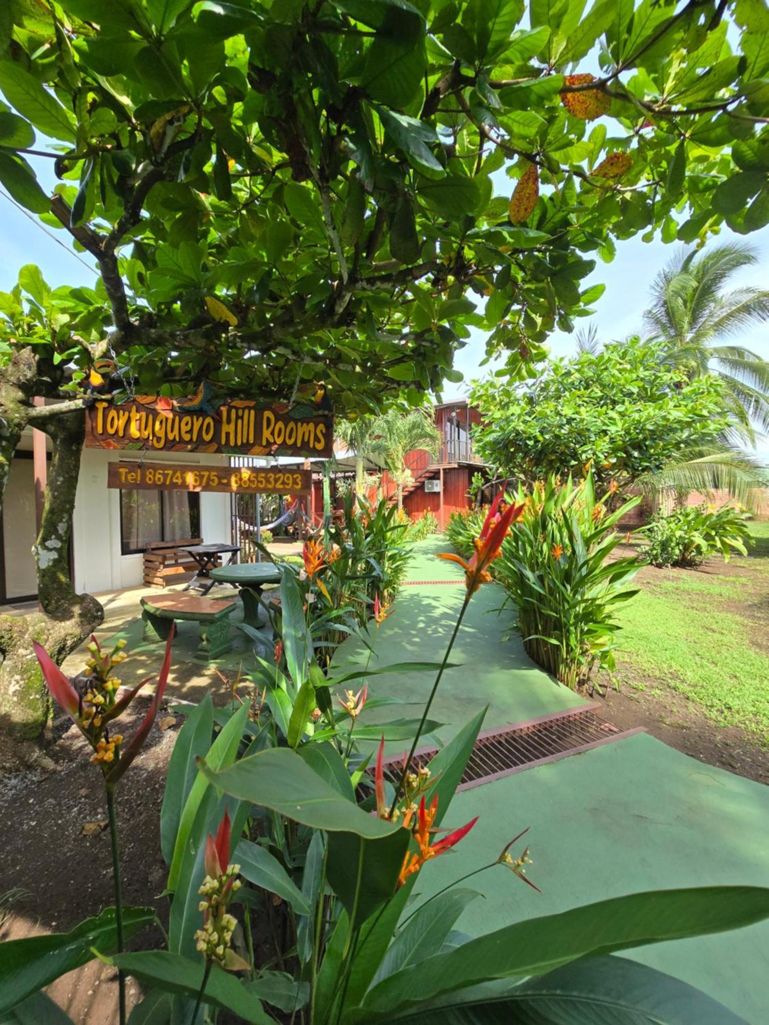 Tortuguero Hill Rooms Buitenkant foto