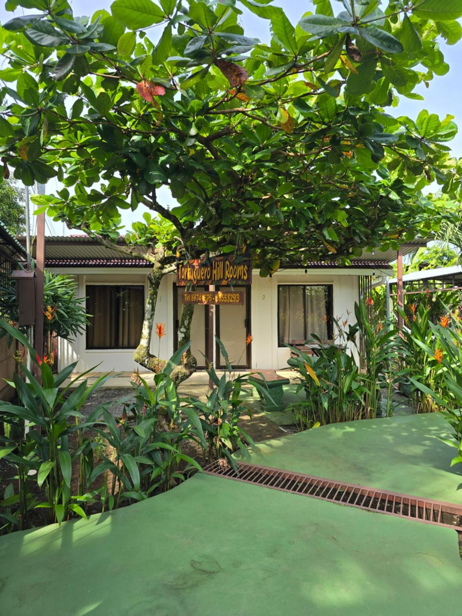 Tortuguero Hill Rooms Buitenkant foto