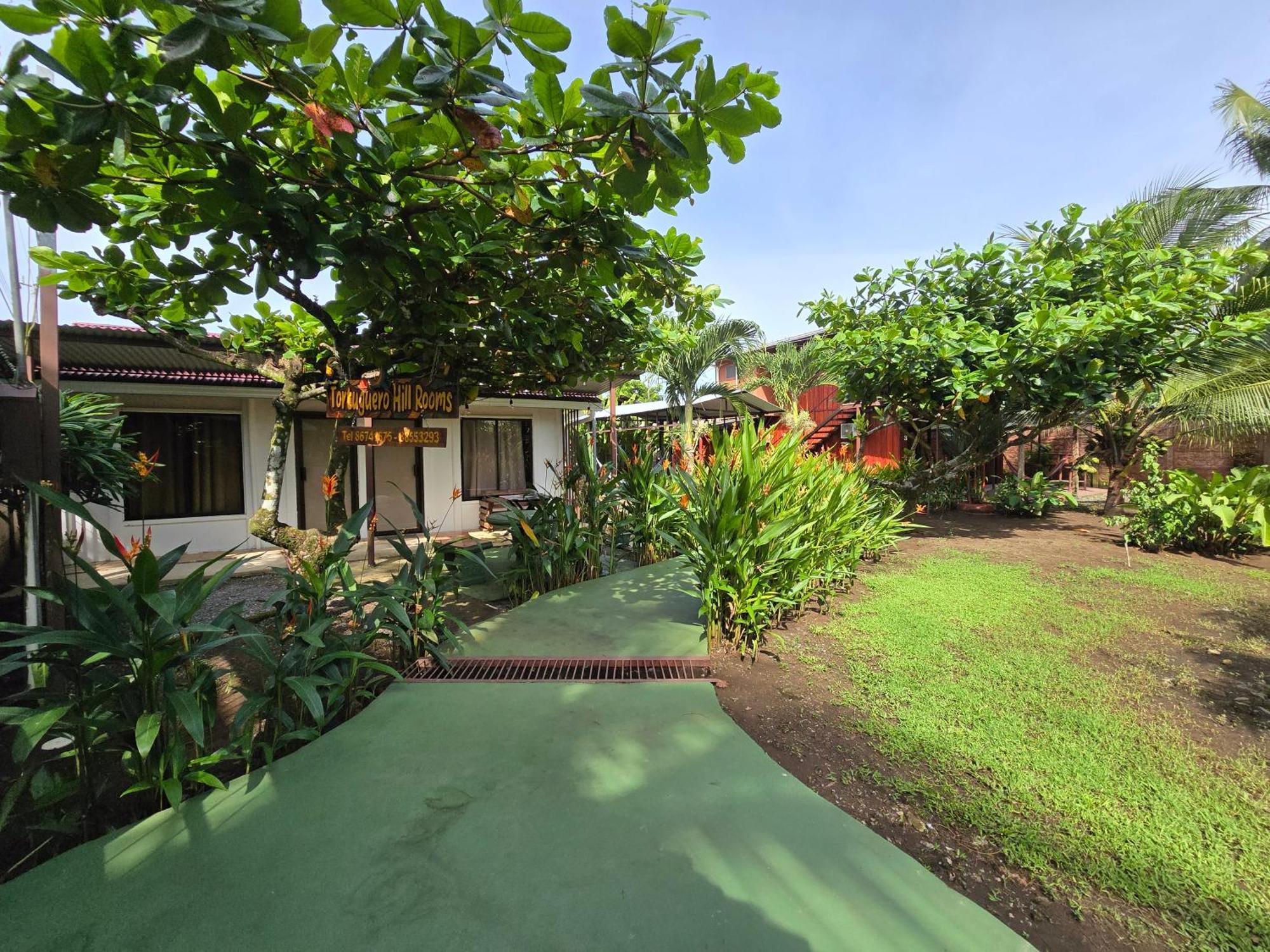 Tortuguero Hill Rooms Buitenkant foto